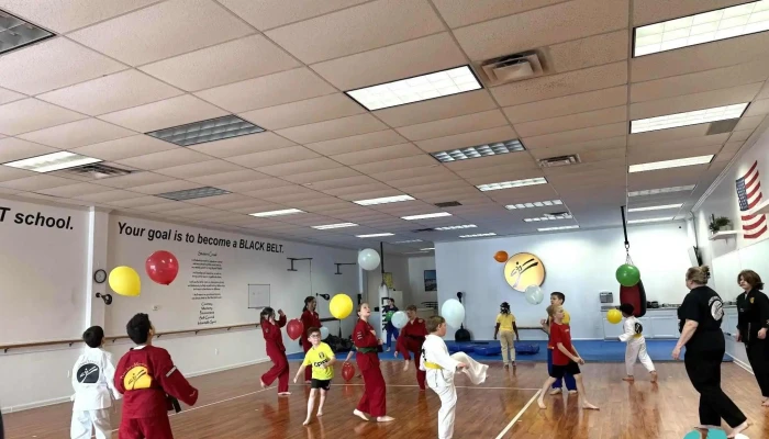 Basches Martial Arts Community - Fort Wayne