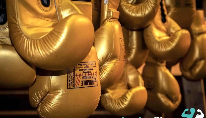Believers Boxing Gym All - Forest Lake