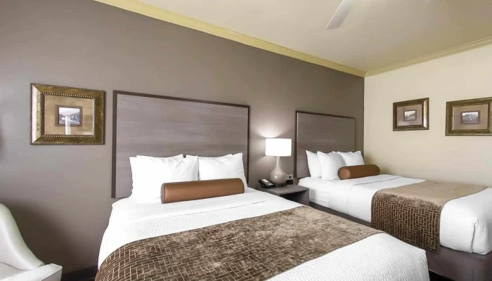 Best Western Plus Crown Colony Inn Suites Street View 360deg - Lufkin