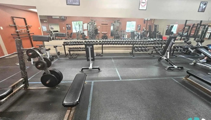 Bloom Health Fitness All - Bloomsburg