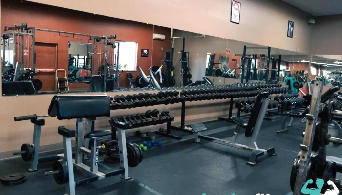 Bloom Health Fitness By Owner - Bloomsburg