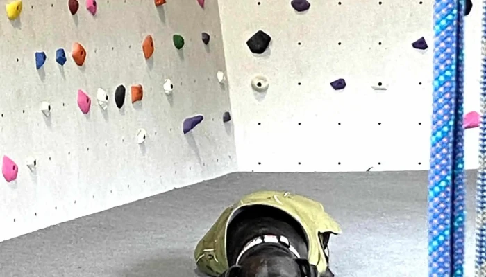 Blue Granite Climbing Gym - South Lake Tahoe