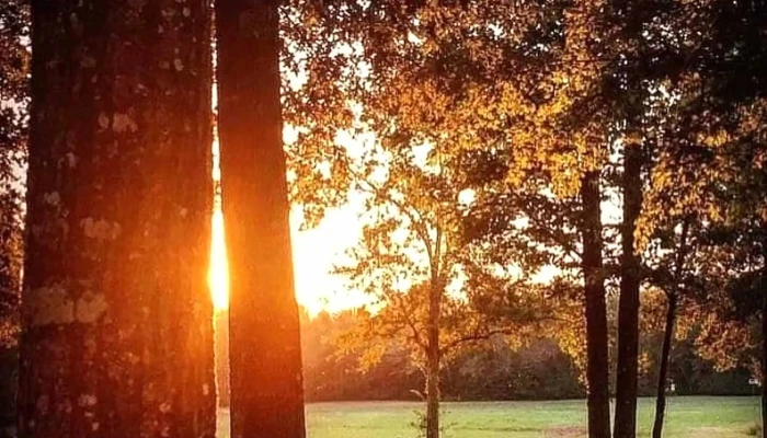 C L Simon Recreation Center Area - Nacogdoches