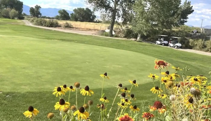 Carson Valley Golf Course -  By Owner - Gardnerville