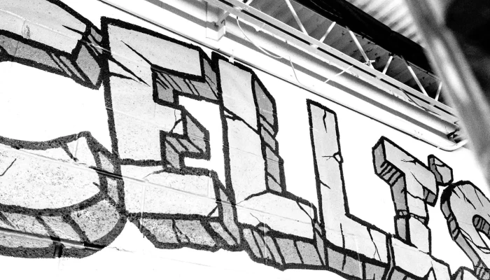 Cellis Fitness Center Gym - Pittsburgh