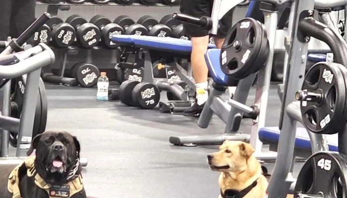 Crunch Fitness -    Maple Grove Videos - Maple Grove