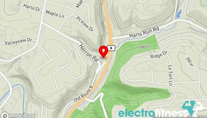 map of Curves Gym, Fitness center, Personal trainer, Physical fitness program, Weight loss service in Allison Park