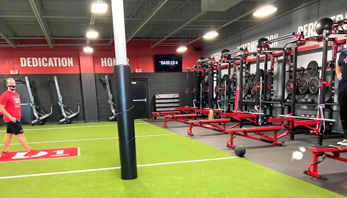 D1 Training Alexandria -  Address - Alexandria