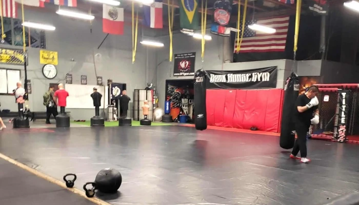 Dark Horse Gym -  Photos - San Jose