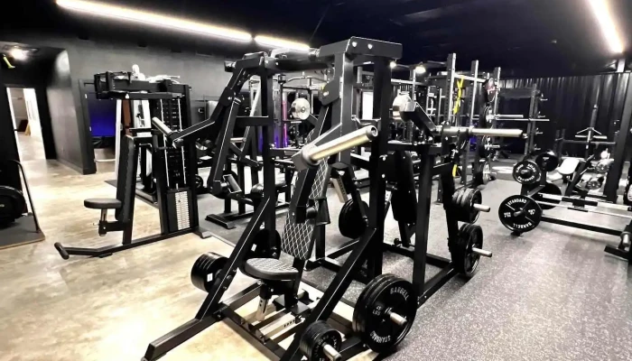 Dash Fx -  All - Angleton