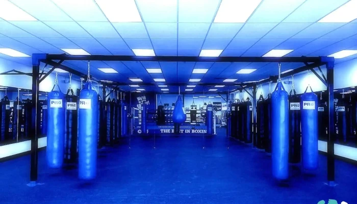Fit 4 Boxing Club -  All - Allison Park