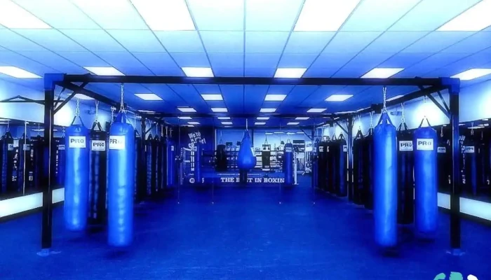 Fit 4 Boxing Club - Allison Park