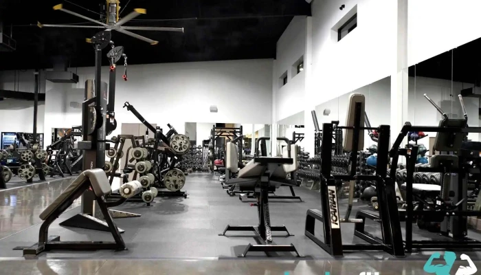 Fit Gym -  Exercise Machine - Tyler