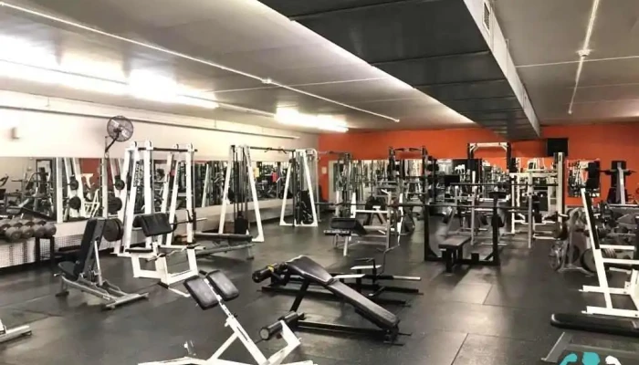 Fitness Evolution -  All - Monticello