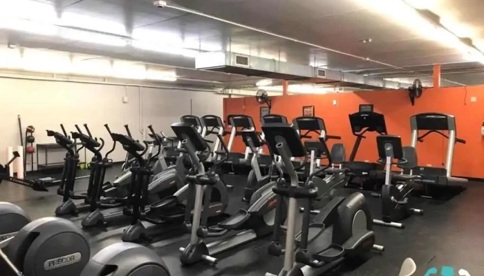 Fitness Evolution -  Exercise Machine - Monticello