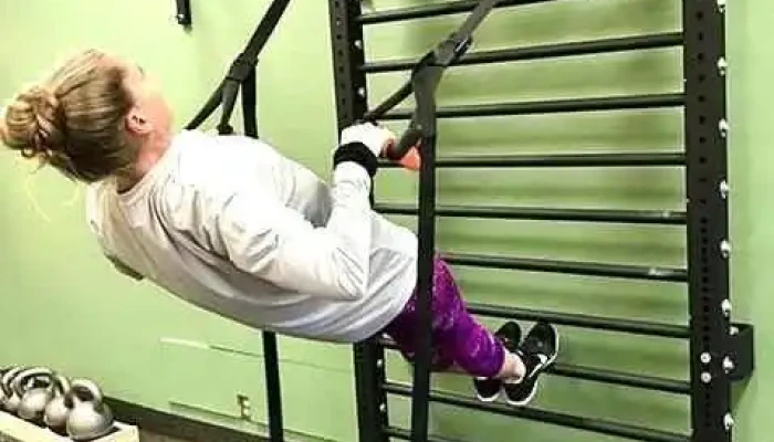 Flex Fitness Center -  By Owner - Holland