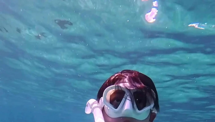 Goldfish Swim School -    Ahwatukee Swimming School - Phoenix