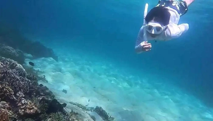Goldfish Swim School -    Ahwatukee Videos - Phoenix