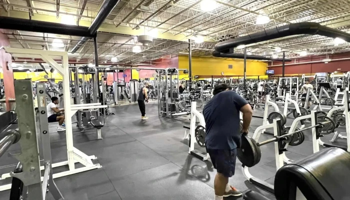 Golds Gym   Annandale Discounts - Annandale