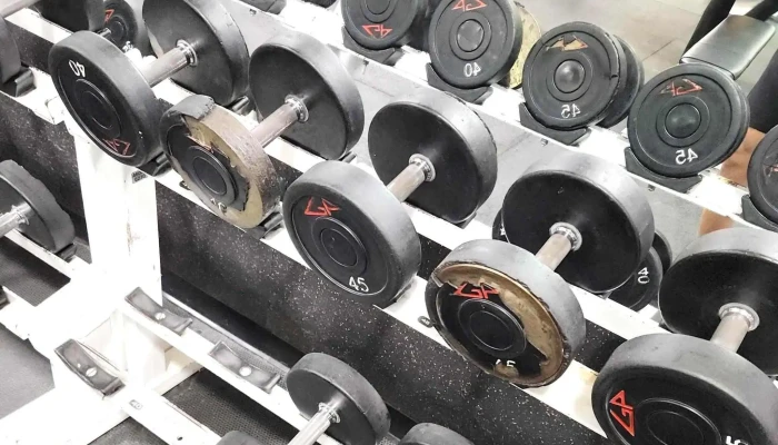 Golds Gym   Annandale Gym - Annandale