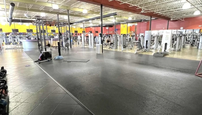 Golds Gym   Annandale Prices - Annandale