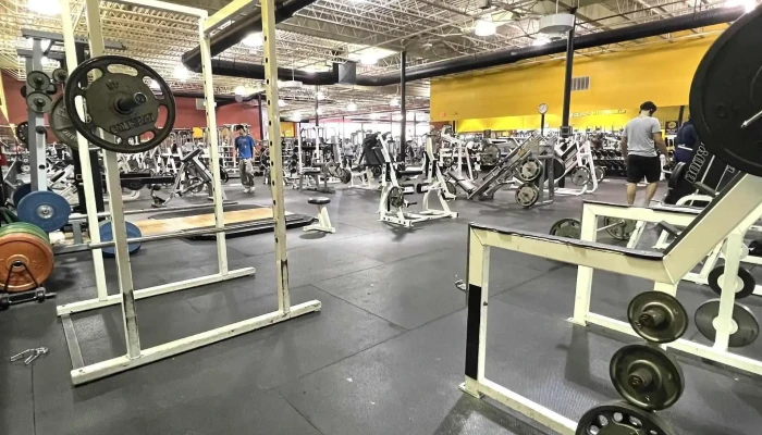 Golds Gym   Annandale Videos - Annandale