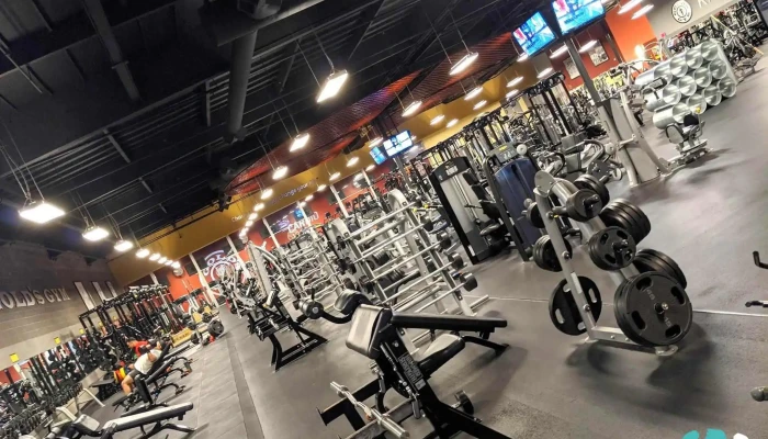 Golds Gym Exercise Machine - Citrus Heights