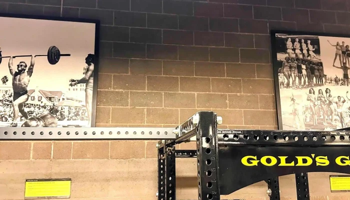 Golds Gym Number - Citrus Heights