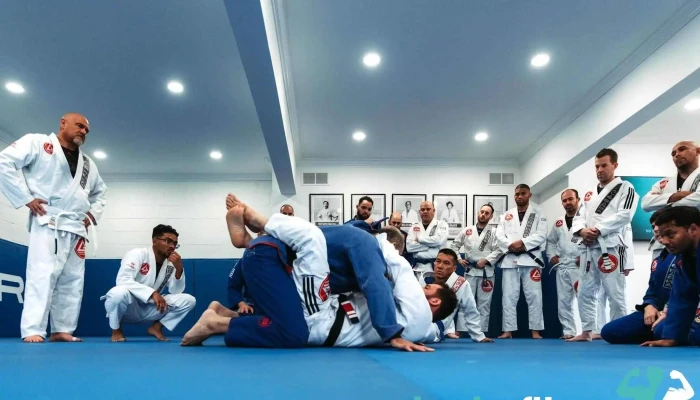 Gracie Barra Andover Brazilian Jiu Jitsu For Kids Adults Community - Andover