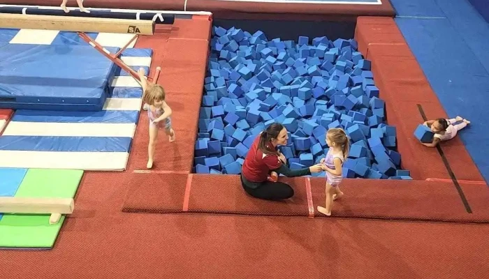 Gymnastics In Motion -  All - Fort Wayne
