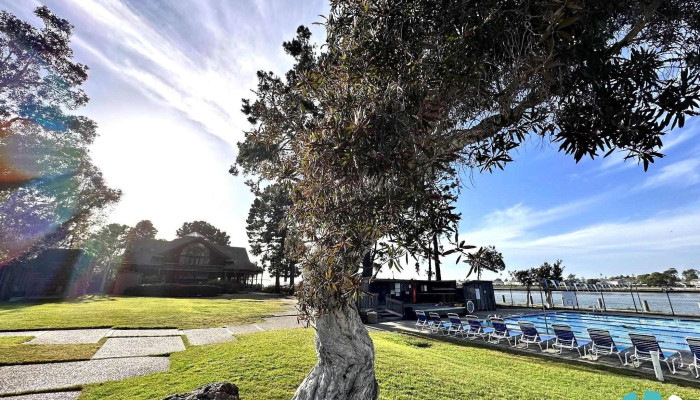 Harbor Bay Club -  Latest - Alameda