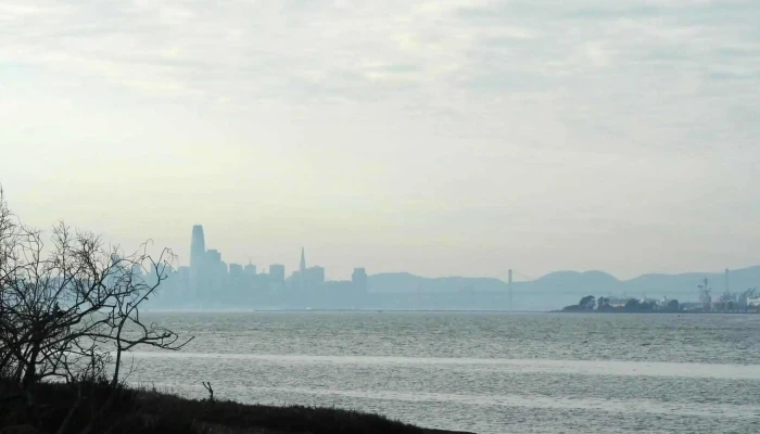 Harbor Bay Club -  Promotion - Alameda