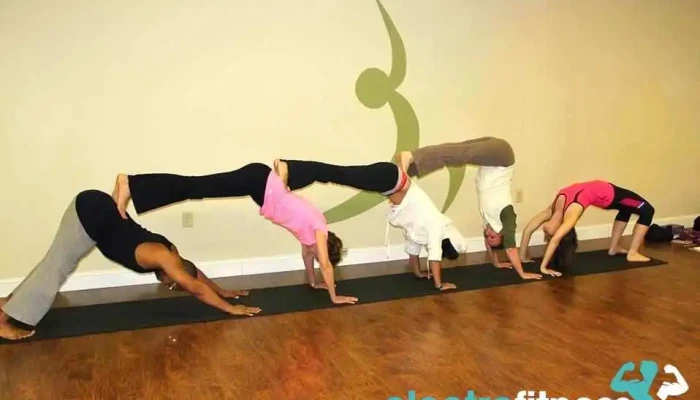 Harmony Therapeutic Yoga - Bowling Green