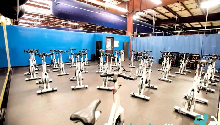 In -  Shape Fitness All - Rocklin