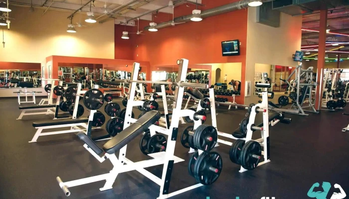 In -  Shape Fitness All - Citrus Heights