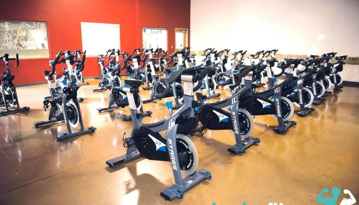 In -  Shape Fitness All - Roseville