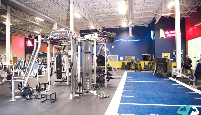 In -  Shape Fitness Latest - Roseville