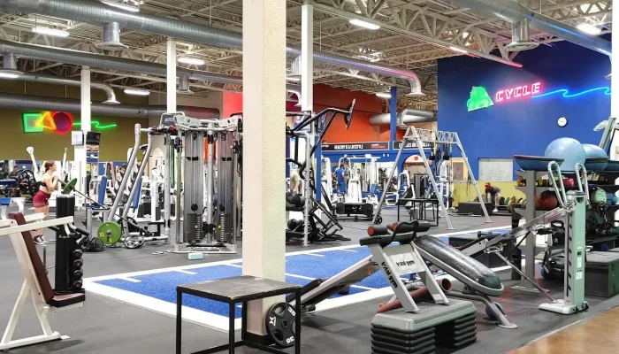 In -  Shape Fitness Phone - Roseville