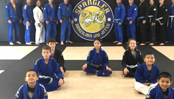 Jiu Jitsu Performance Academy -  Near Me - Apex