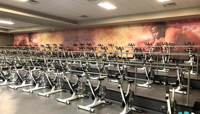 La Fitness -  All - Allen Park
