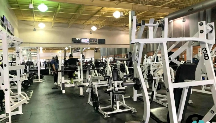 La Fitness -  All - Chicago Ridge