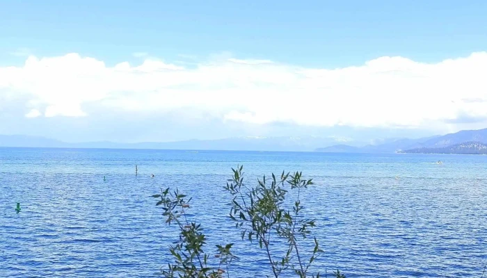 Lake Tahoe Yoga Paddle Yoga Classes - South Lake Tahoe