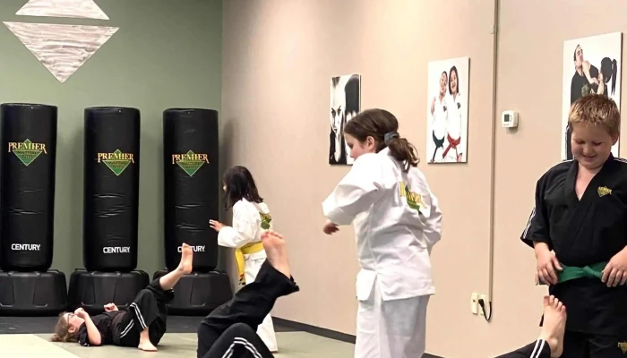 Legacy Martial Arts Fort Wayne -    North Karate School - Fort Wayne