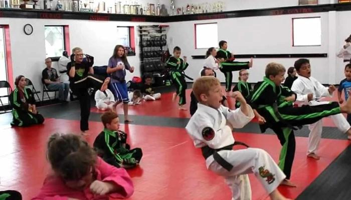 Legacy Martial Arts Fort Wayne -    North Website - Fort Wayne