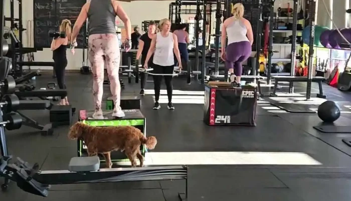 Lift Get Fit Llc -  Gym - North Andover