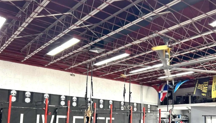 Live Free Fitness Club -  Near Me - Miami