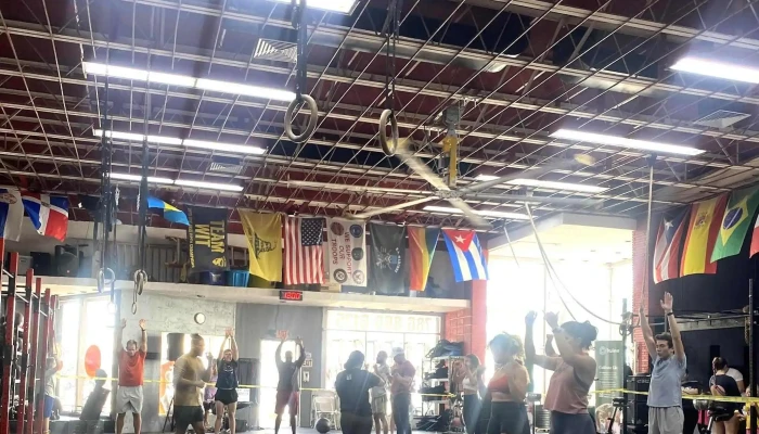 Live Free Fitness Club -  Website - Miami