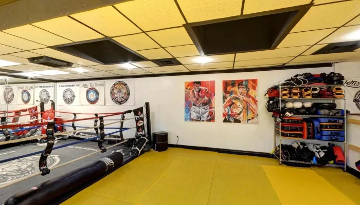 Lotus Thai Boxing -  Street View 360deg - Annandale