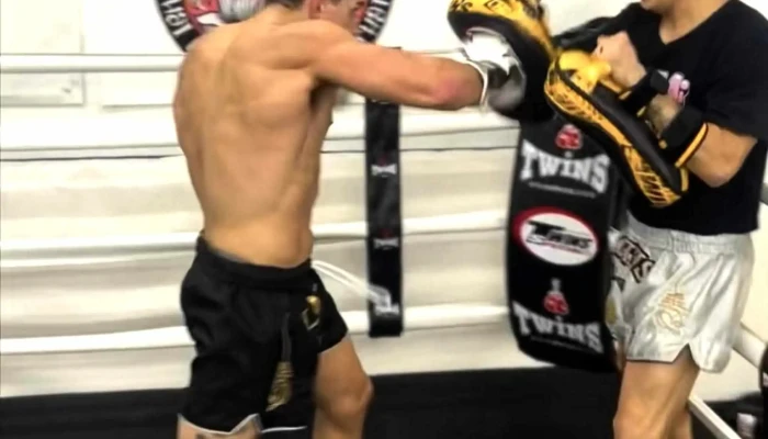 Lotus Thai Boxing -  Website - Annandale