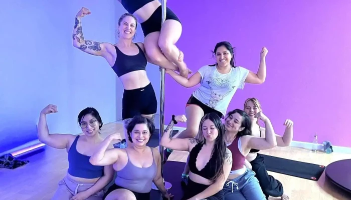 Magnetic Pole Fit -  By Owner - San Jose
